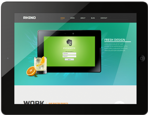 Web漏洞扫描工具